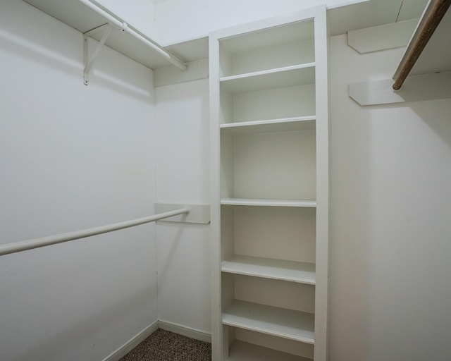 spacious closet with carpet flooring