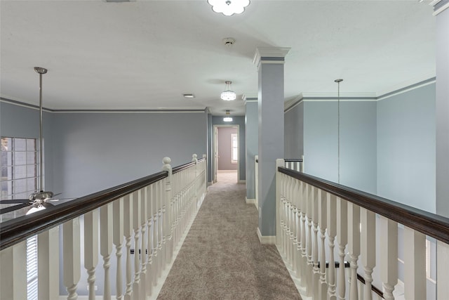 corridor with ornamental molding and light carpet