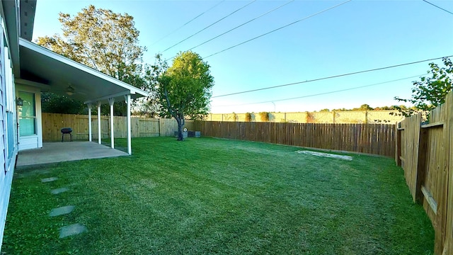 view of yard featuring a patio