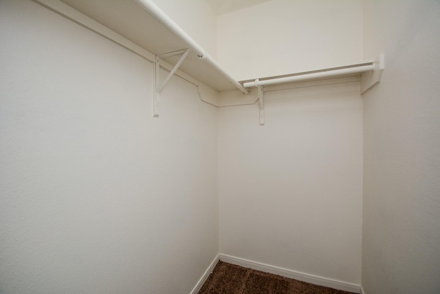 walk in closet with dark colored carpet