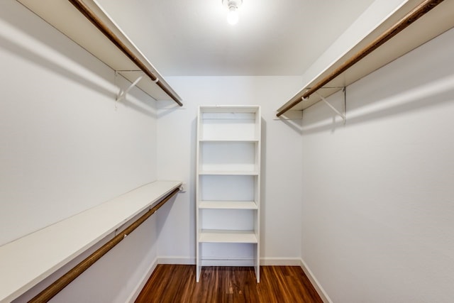 spacious closet featuring dark wood-type flooring