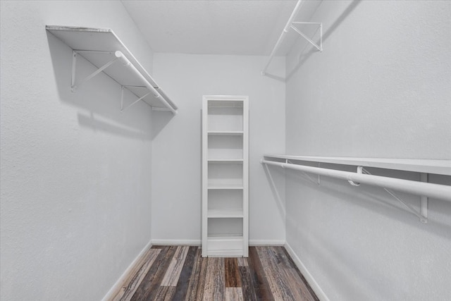 walk in closet with dark hardwood / wood-style floors