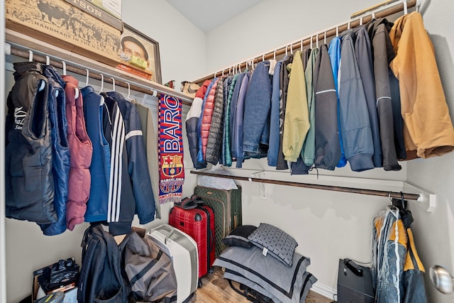 spacious closet with hardwood / wood-style floors