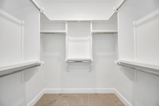 walk in closet featuring carpet flooring