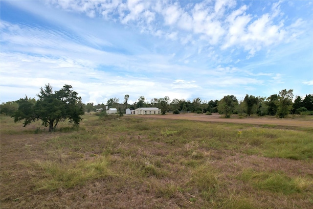 view of yard with a rural view