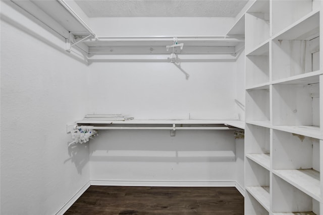 spacious closet featuring dark hardwood / wood-style flooring