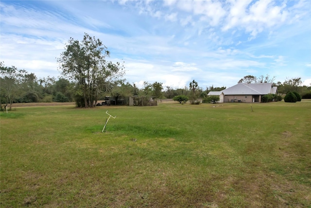 view of yard