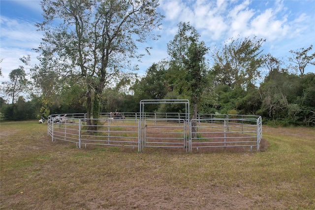 view of yard with a rural view