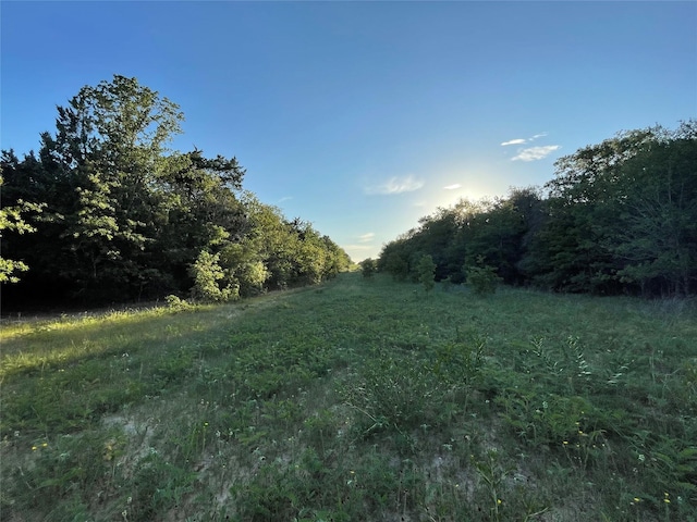 Listing photo 3 for 00 Mule Creek Rd, Harwood TX 78632