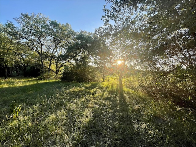 Listing photo 2 for 00 Mule Creek Rd, Harwood TX 78632