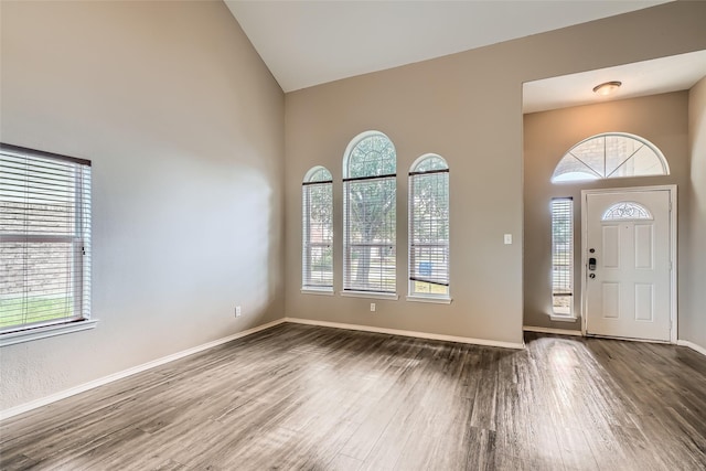 foyer with hardwood / wood-style flooring and high vaulted ceiling