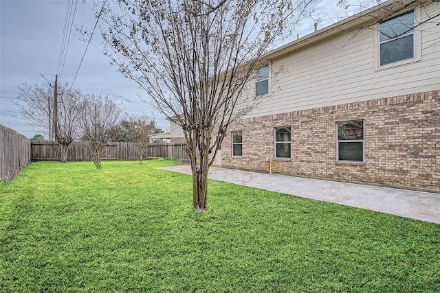 view of yard featuring a patio area