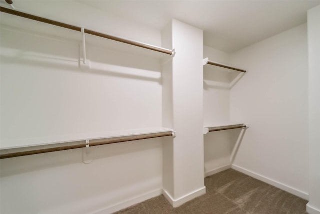 walk in closet with dark carpet