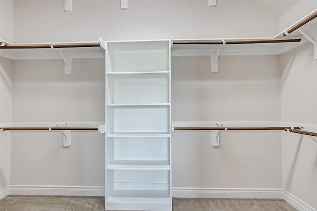 walk in closet featuring light colored carpet