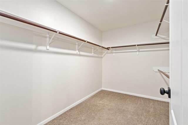 walk in closet with light colored carpet