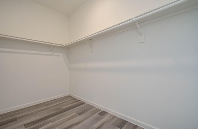 walk in closet featuring wood-type flooring