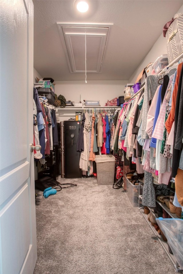 spacious closet featuring carpet flooring