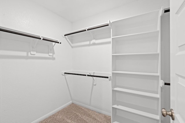 spacious closet with carpet floors