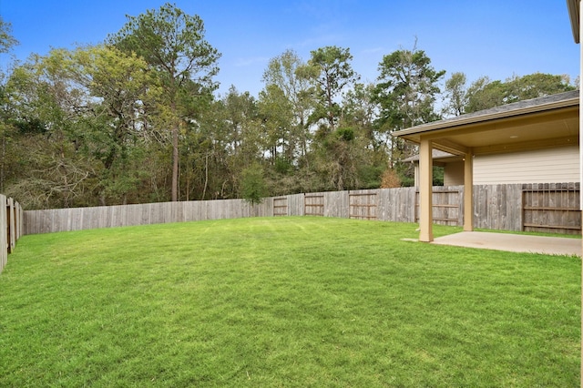 view of yard with a patio area