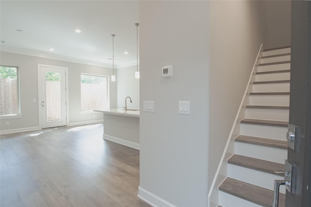 staircase with ornamental molding, hardwood / wood-style floors, and sink