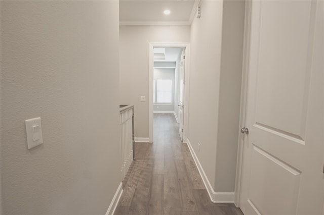 corridor featuring dark wood-type flooring and crown molding