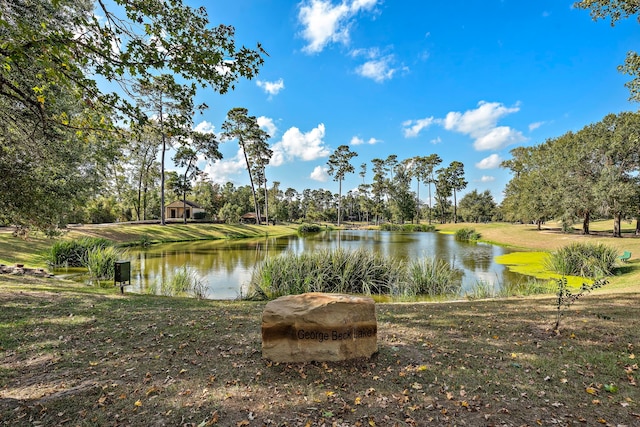 property view of water