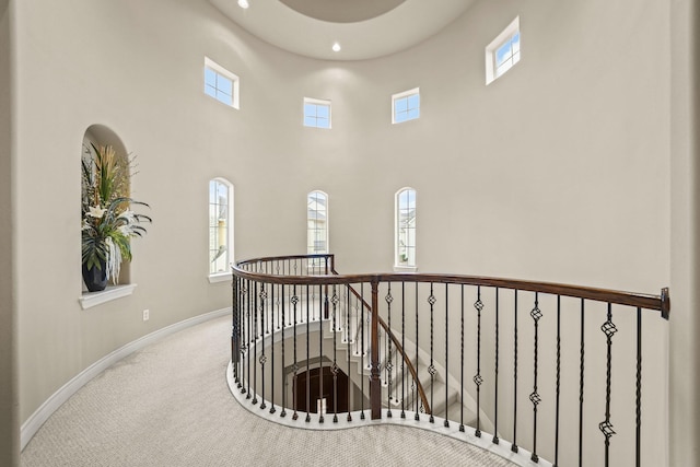 hall with carpet flooring and a wealth of natural light