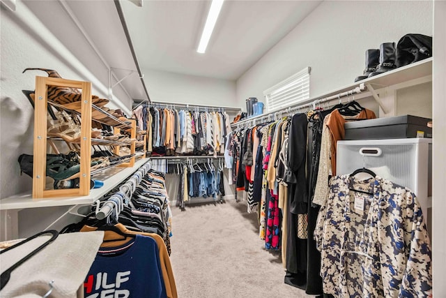 walk in closet featuring carpet floors