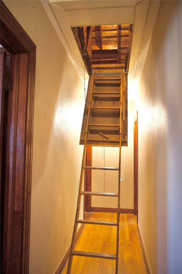 stairway with hardwood / wood-style floors