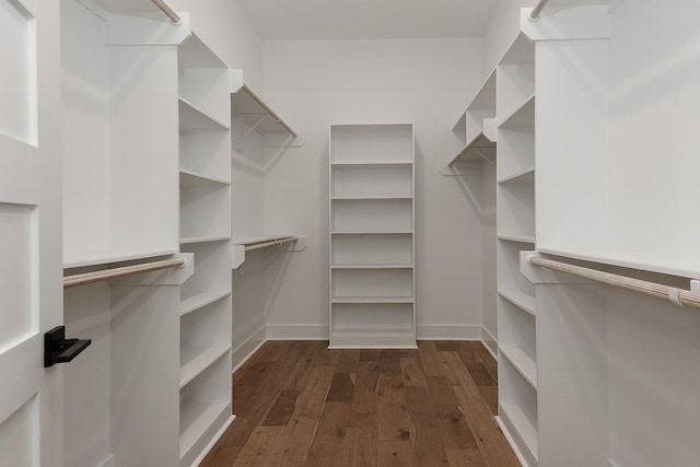 spacious closet featuring dark hardwood / wood-style flooring