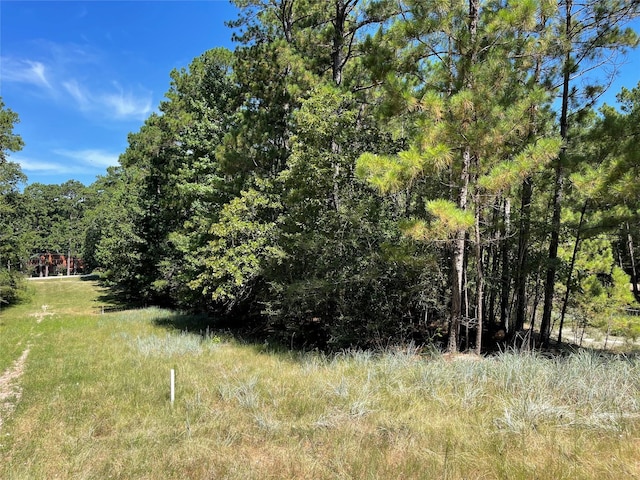 Listing photo 3 for 0 S Sunset Dr, Onalaska TX 77360