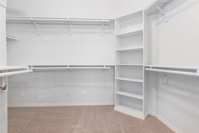 spacious closet with light colored carpet