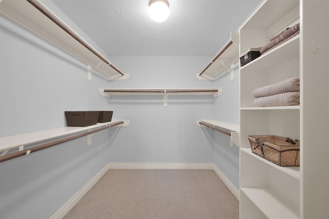 walk in closet featuring carpet floors