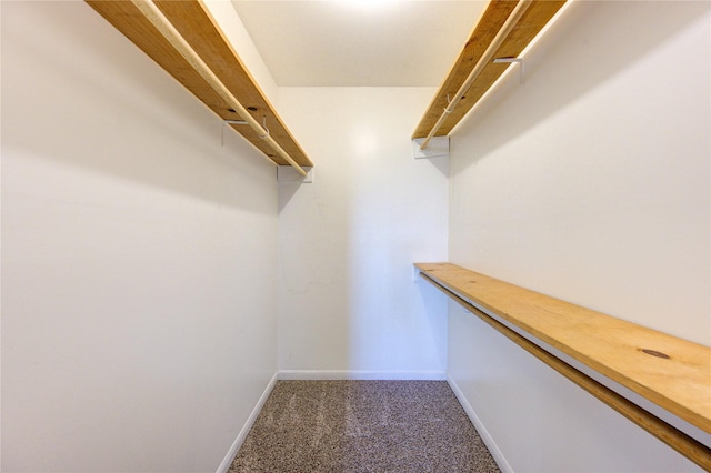 spacious closet featuring carpet flooring