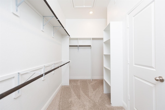 walk in closet featuring light carpet and attic access