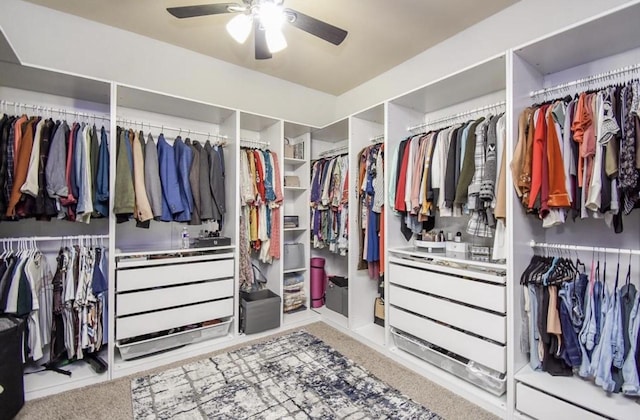 walk in closet with carpet floors and ceiling fan