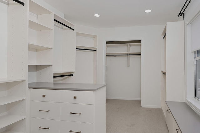 spacious closet with light colored carpet