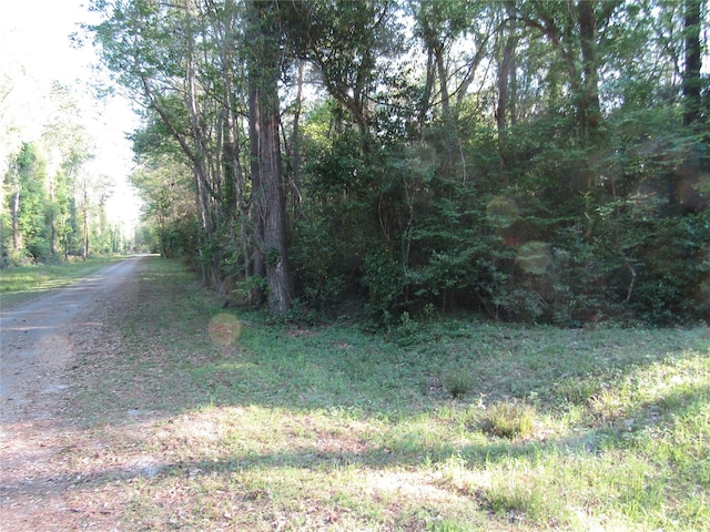 Listing photo 3 for TBD Holly Ln, New Caney TX 77357