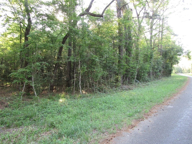 Listing photo 2 for TBD Holly Ln, New Caney TX 77357