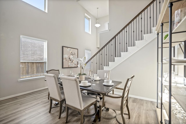 dining room with a high ceiling and hardwood / wood-style floors