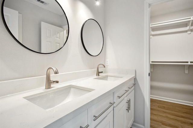 bathroom featuring wood-type flooring and vanity