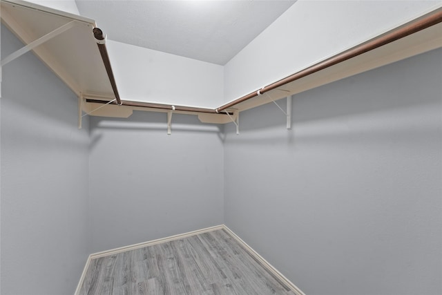 spacious closet with hardwood / wood-style floors