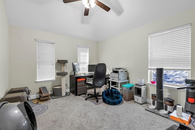 home office with ceiling fan and carpet flooring