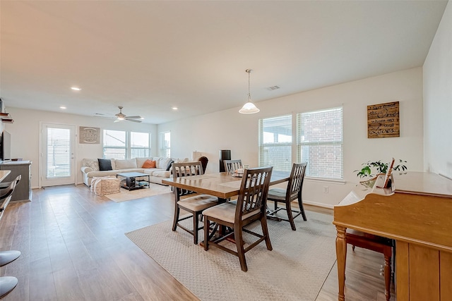 dining space with ceiling fan and light hardwood / wood-style flooring