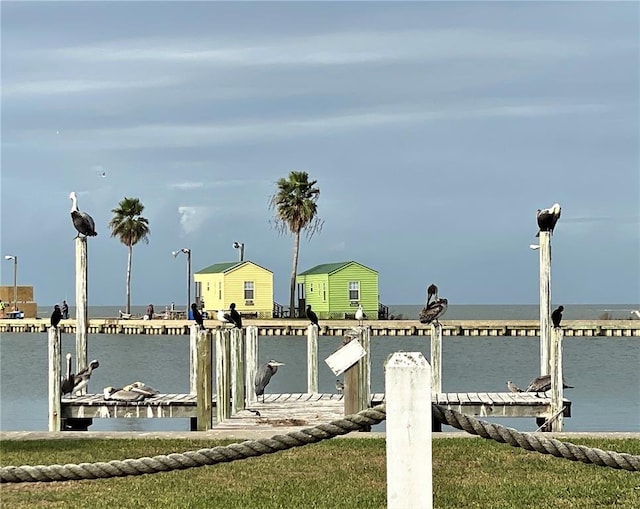 dock area with a water view