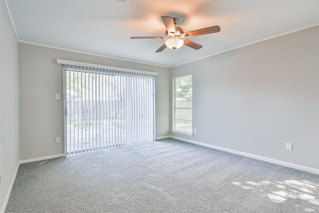 spare room with ceiling fan, crown molding, and carpet