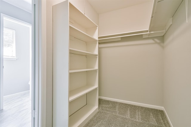 spacious closet featuring light carpet