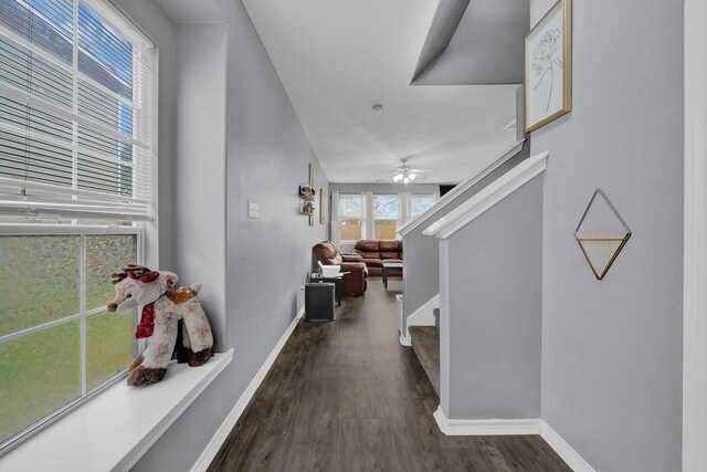 corridor featuring dark hardwood / wood-style flooring