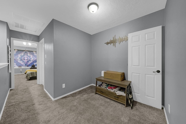 interior space featuring light colored carpet and a textured ceiling