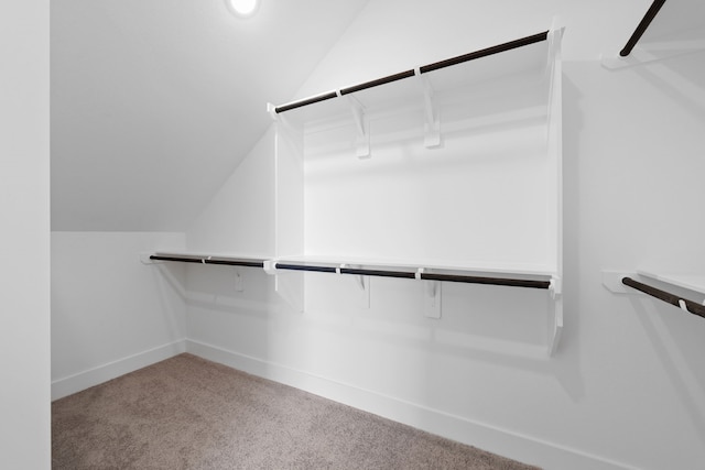 30551 Zoysia Point Ln, Fulshear, TX 77423 - spacious closet with lofted ceiling and carpet floors